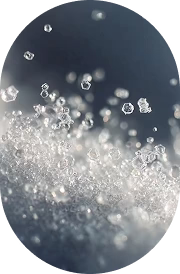 BACILLUS COAGULANS